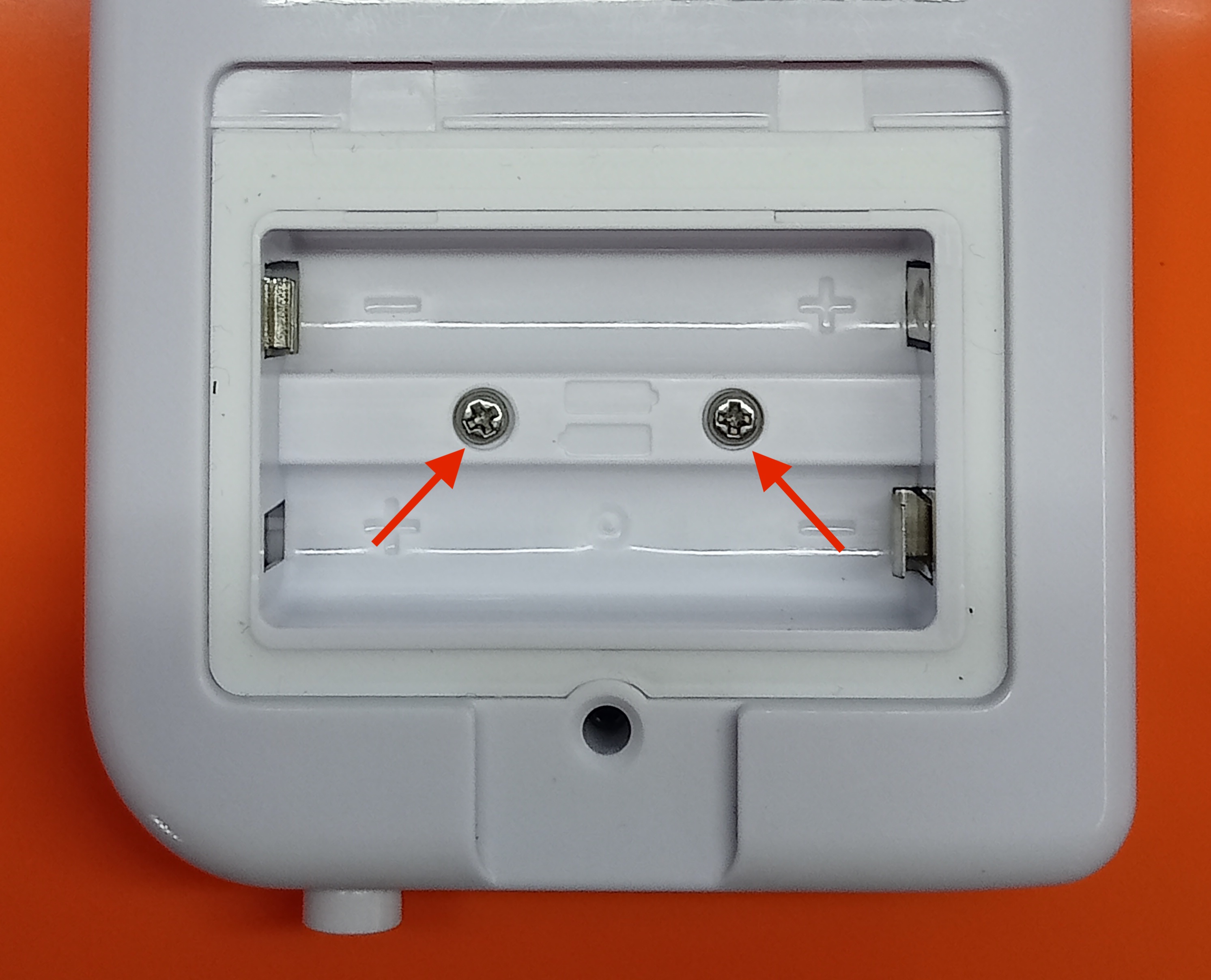 Rear_cover_removed.jpeg